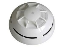 Argus analoge detectoren